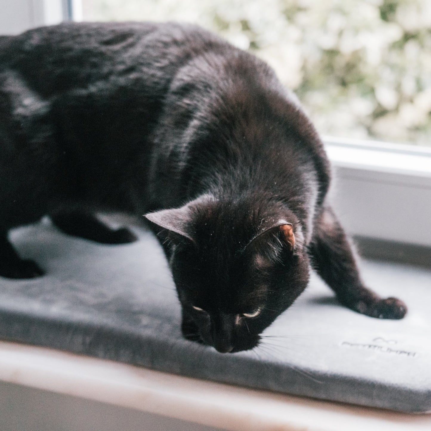 Flauschige Katzenliege für Fensterbank – perfekter Platz für Katzen, um die Aussicht zu genießen und sich zu entspannen.