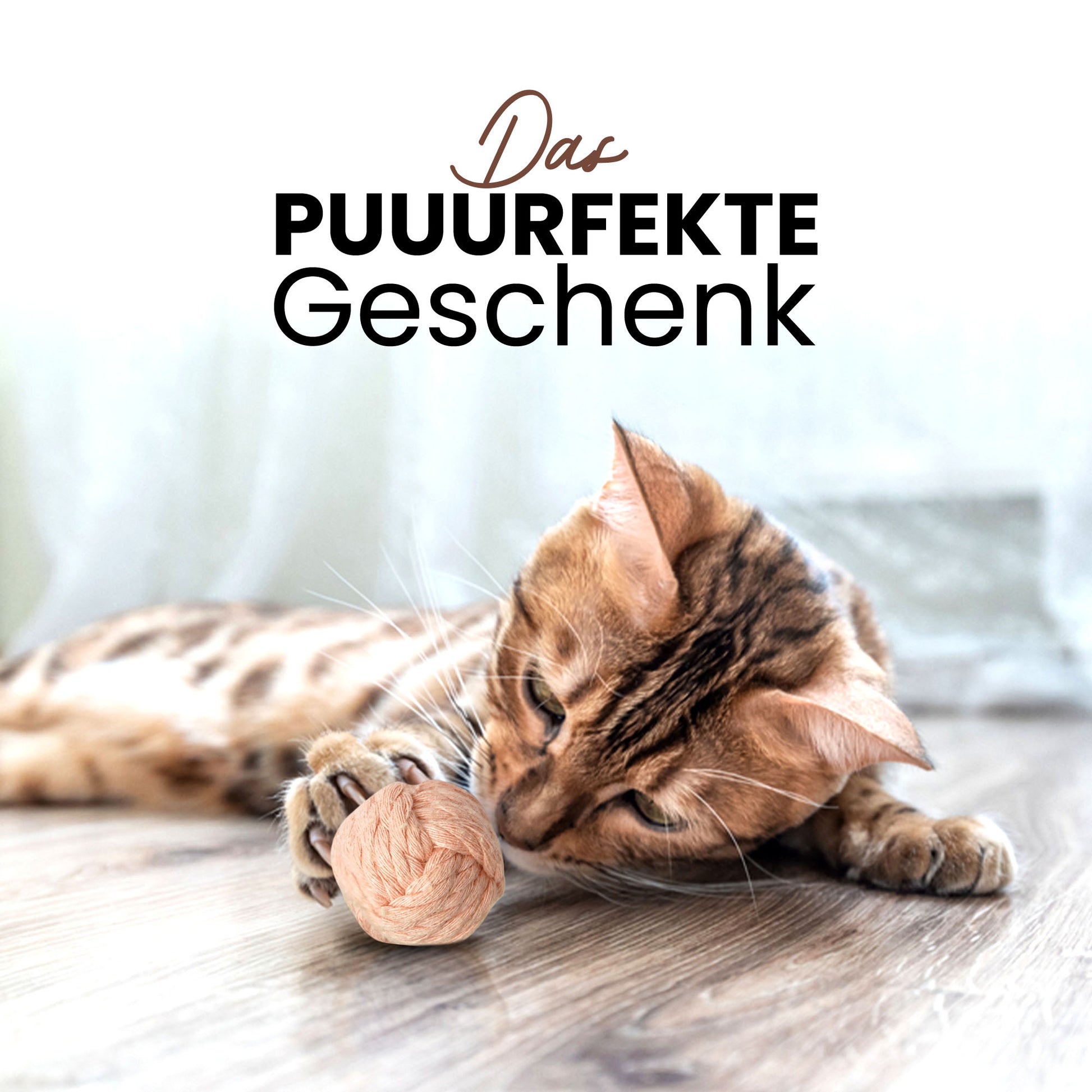 Das perfekte Geschenk für Katzenliebhaber und Katzenbesitzer